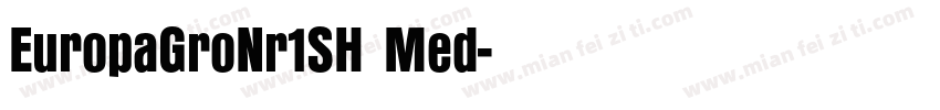 EuropaGroNr1SH Med字体转换